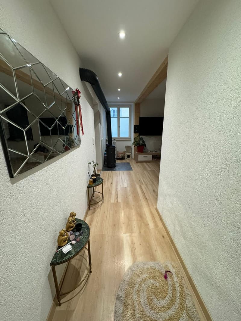 Appartement 2 pièces lumineux au rez-de-chaussée (4)
