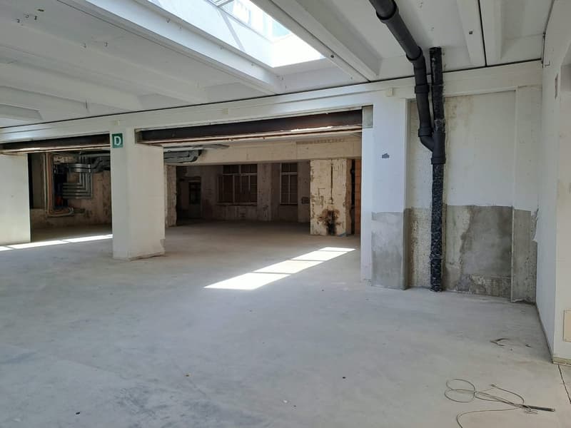 Grand local commercial de plain-pied avec grand couvert (4)