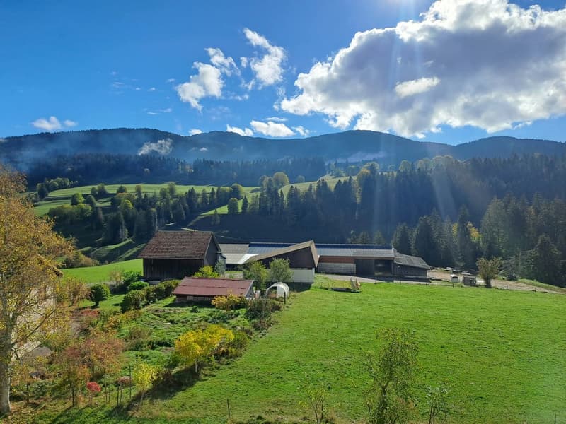 Appartement de 5 pièces à La Côte-aux-Fées (20)