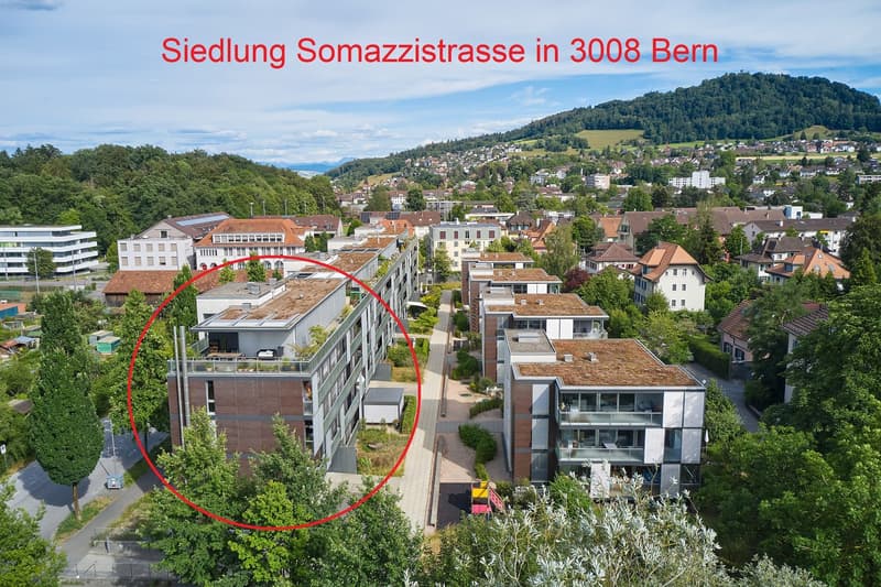 Wohnen in der Stadt Bern - an ruhiger und sonniger Lage! (1)