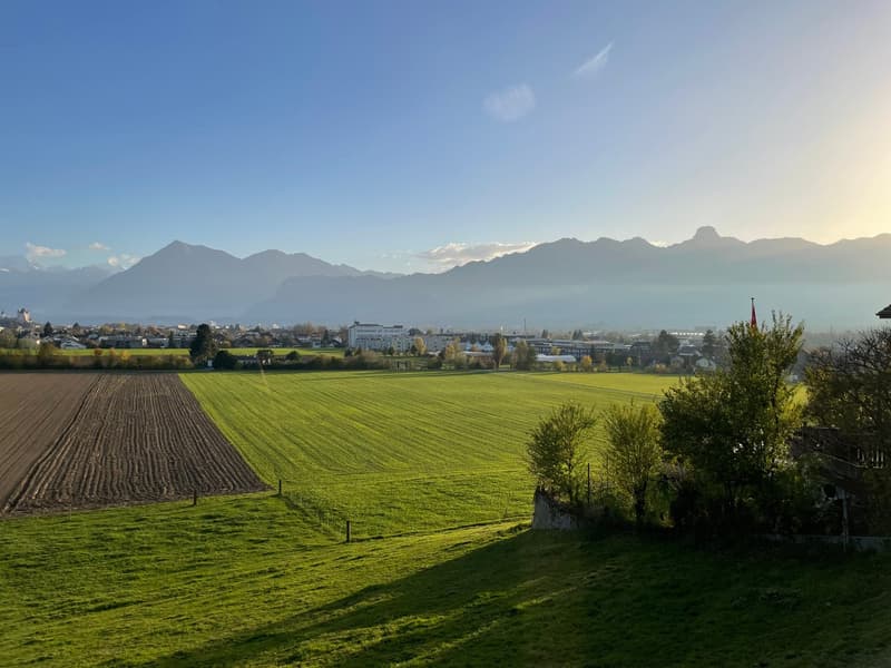 Appartamento 3.5 locali a Steffisburg | Contratto di locazione a termine (1)