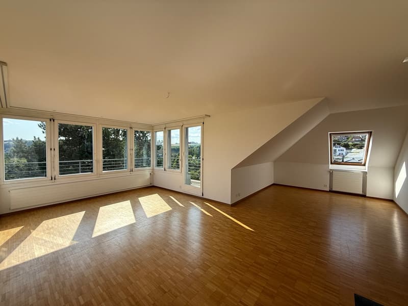 Appartement en mansarde lumineux 3.5 pièces avec belle vue ! (4)