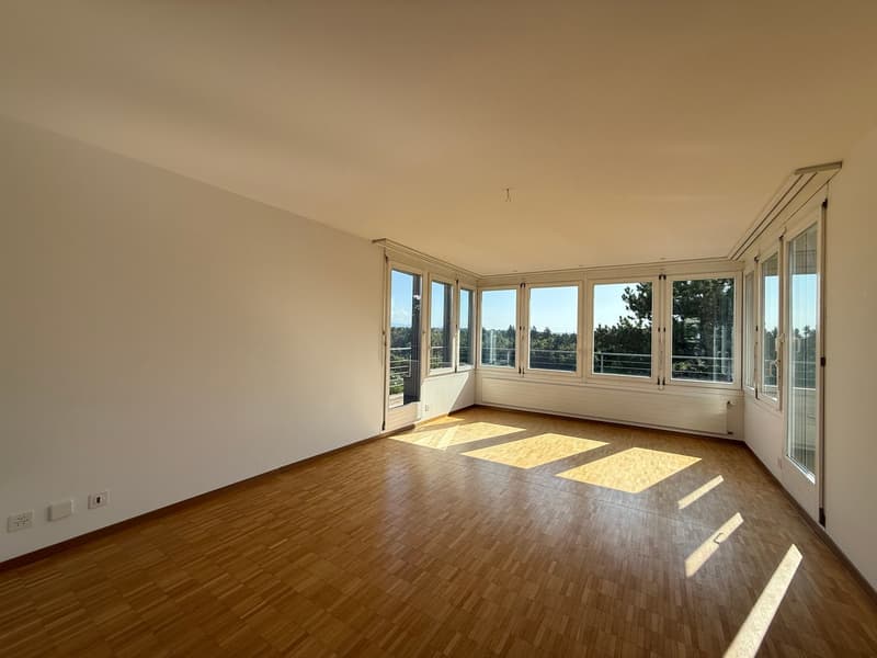 Appartement en mansarde lumineux 3.5 pièces avec belle vue ! (2)