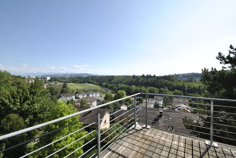 Appartement en mansarde lumineux 3.5 pièces avec belle vue ! (11)