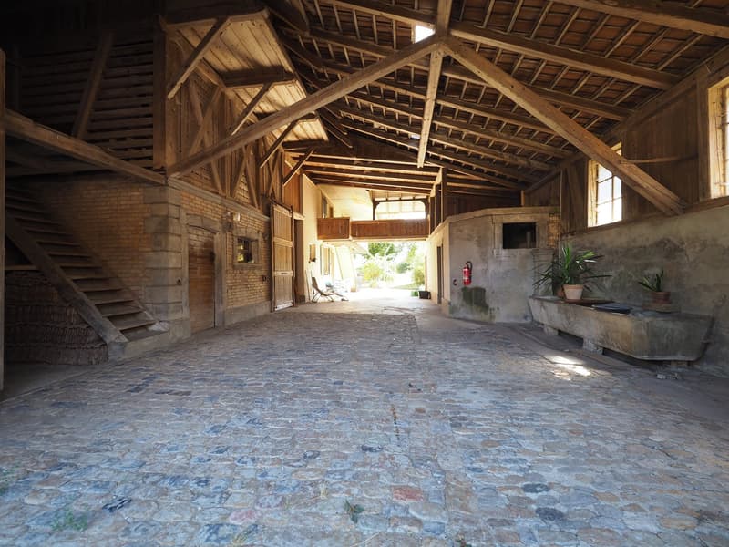 Historisches Bauernhaus mit Weitsicht, Charakter und grossem Potenzial (5)