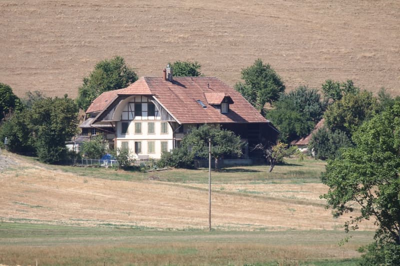 Historisches Bauernhaus mit Weitsicht, Charakter und grossem Potenzial (2)