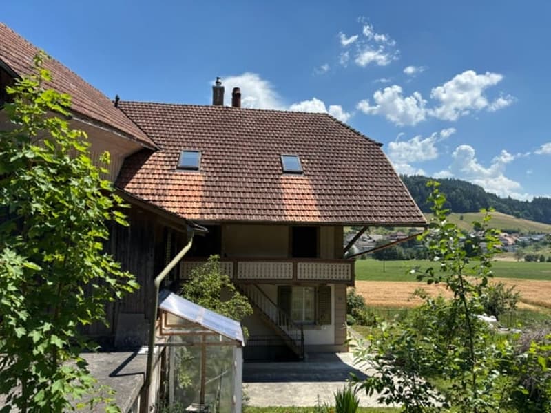 Historisches Bauernhaus mit Weitsicht, Charakter und grossem Potenzial (4)