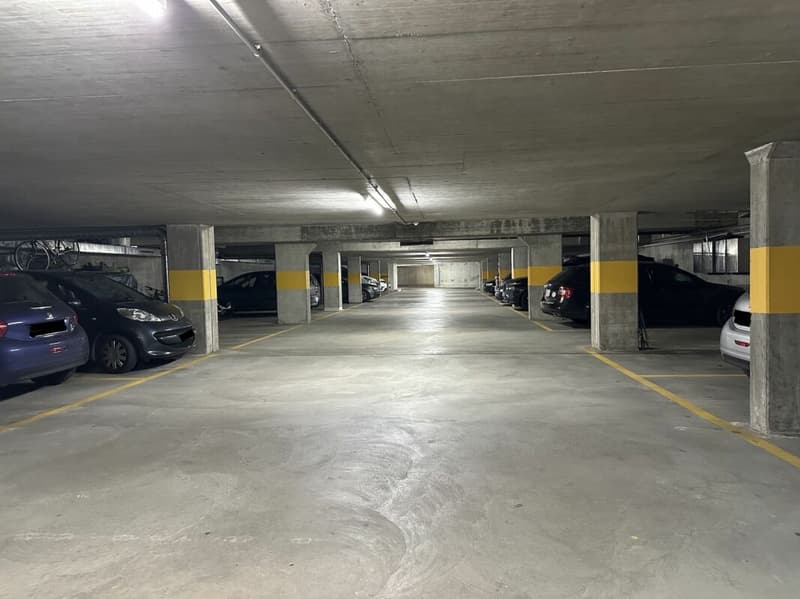 Fantastico appartamento a due piani con terrazza sul tetto (29)