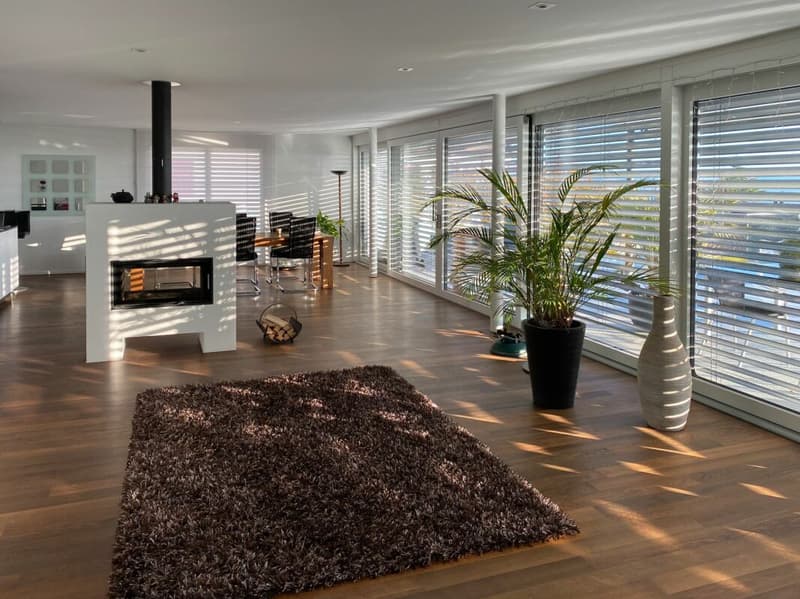 Appartement de terrasse incomparable avec vue sur le lac et les Alpes (5)