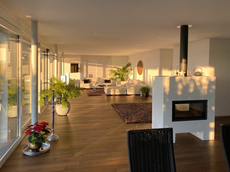 Appartement de terrasse incomparable avec vue sur le lac et les Alpes (4)