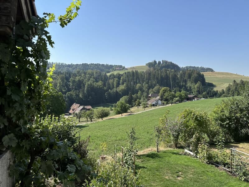 Hübsches Reihenmittelhaus mit einmaliger Aussicht (9)