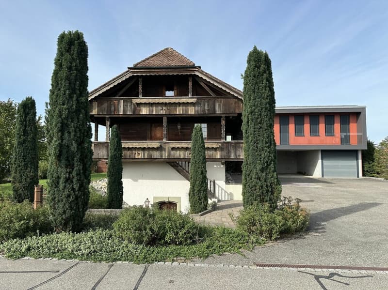 Unvergleichliches Bijou zum Wohnen und/oder Arbeiten (1)