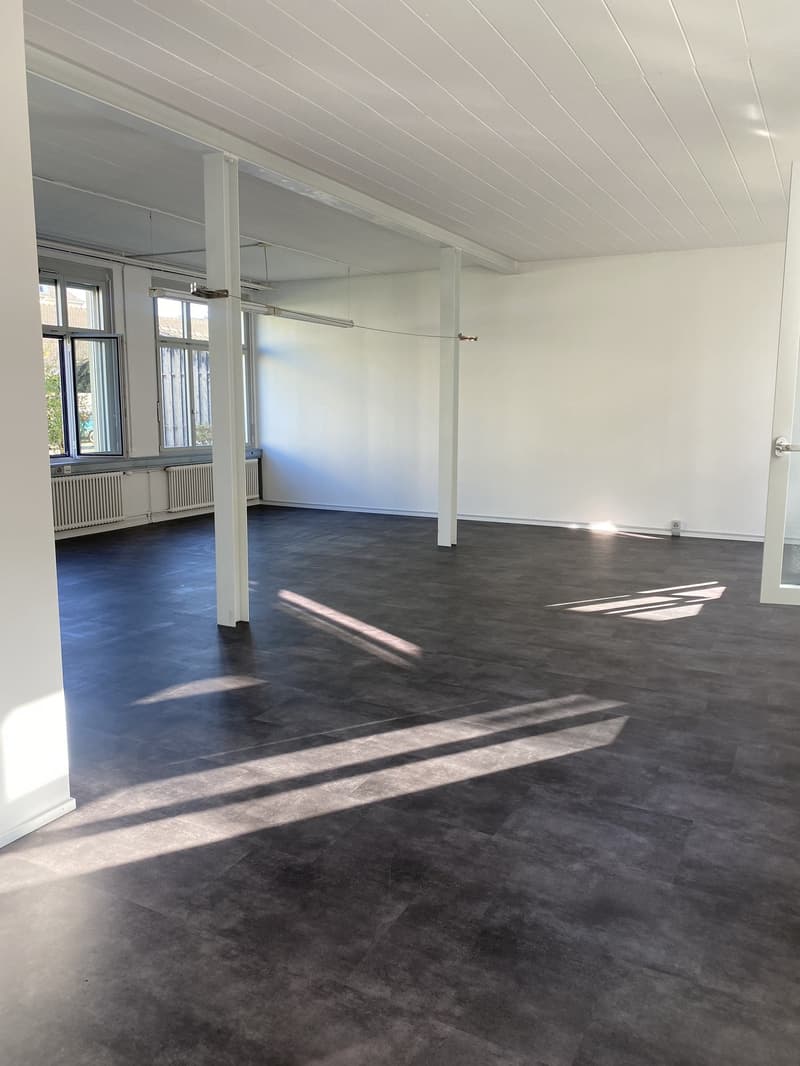 Espace commercial polyvalent à Schöftland (1)