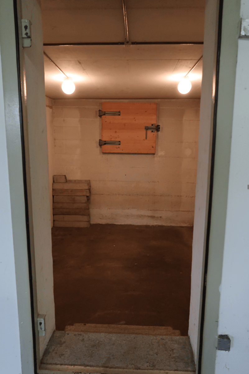 Empty basement with concrete floor, brick wall, small stack of bricks, open wooden door, and two lit ceiling lights.
