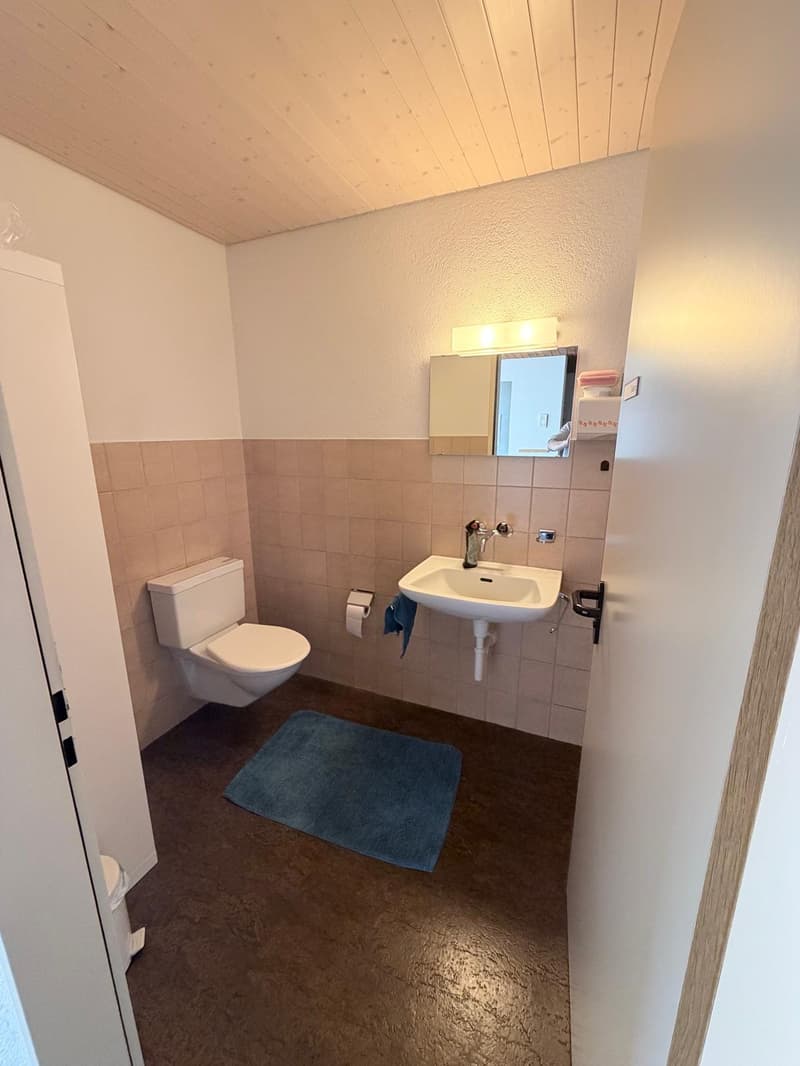 small bathroom, tile walls, white toilet, silver faucet, small sink, wooden ceiling