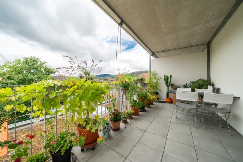 Schöne 3.5 Zimmerwohnung zu vermieten (6)