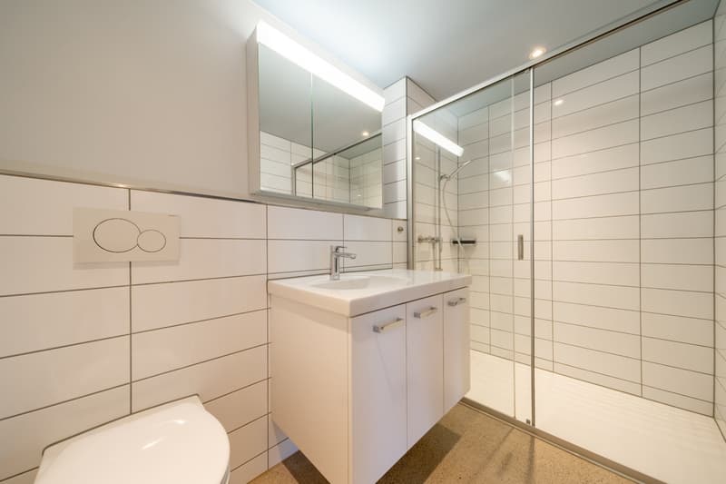 Schöne 3.5 Zimmerwohnung zu vermieten (5)