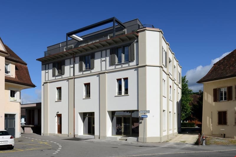 Schöne 3.5 Zimmerwohnung zu vermieten (1)