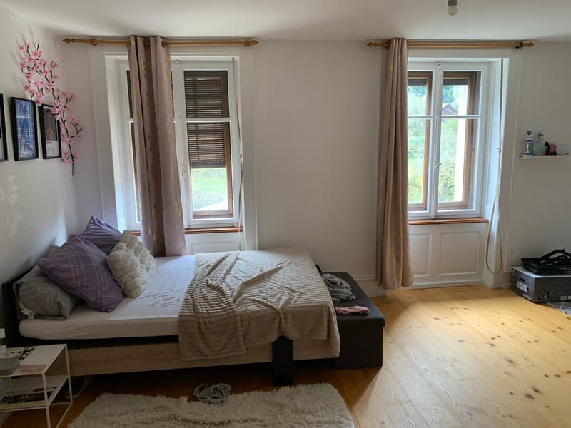 Sehr grosse und charmante 4.5-Zimmer-Wohnung mit Aussicht in Reconvilier (8)