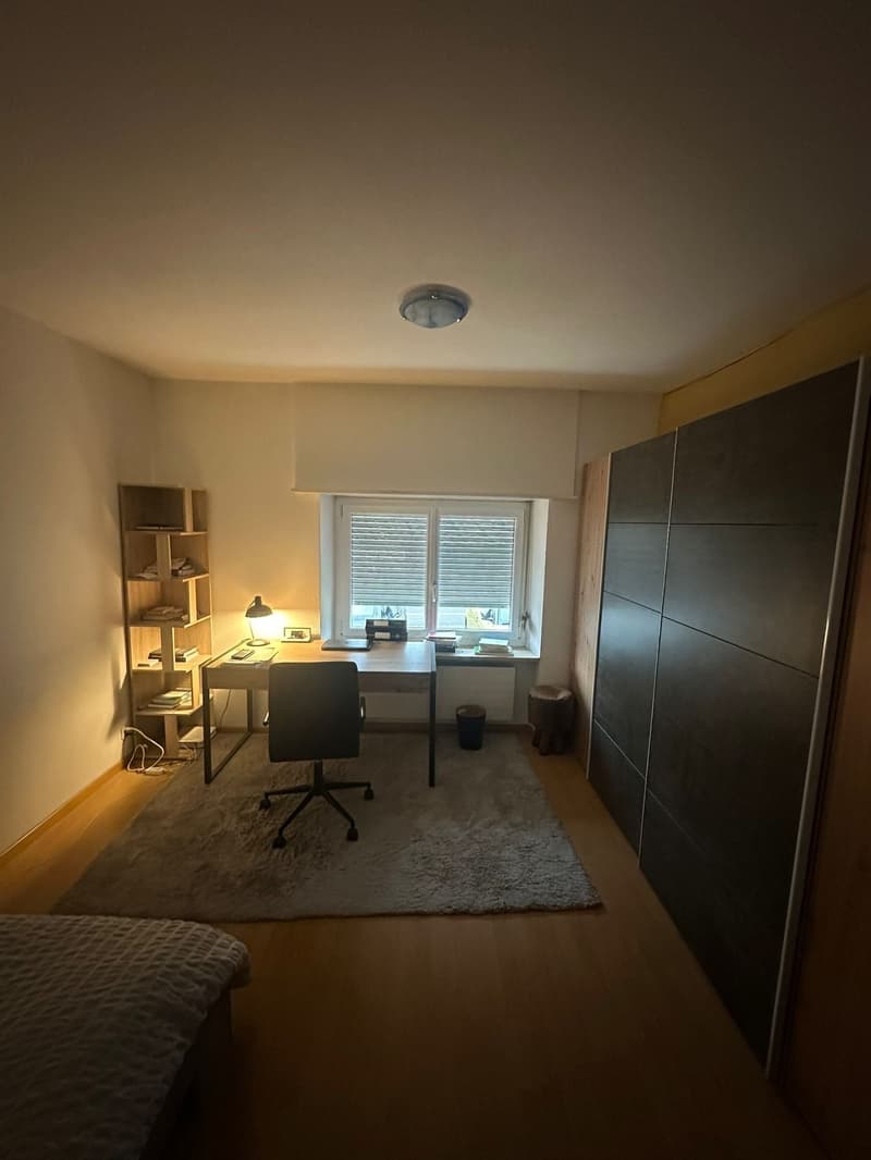 Gemütliche 3.5-Zimmer-Wohnung in ruhiger Lage von St. Gallen (4)