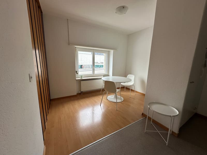 Gemütliche 3.5-Zimmer-Wohnung in ruhiger Lage von St. Gallen (2)