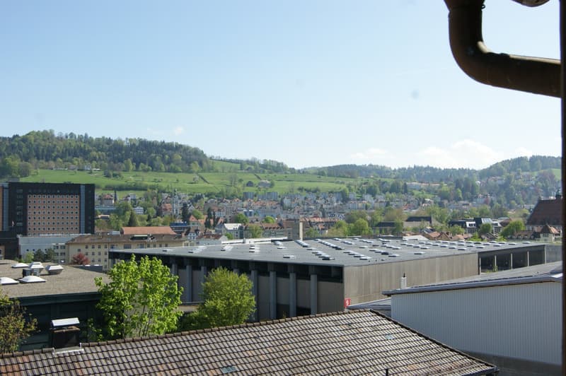 Zentrumsnahe 1-Zimmerwohnung in St. Gallen (9)