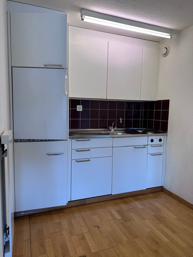 Zentrumsnahe 1-Zimmerwohnung in St. Gallen (3)