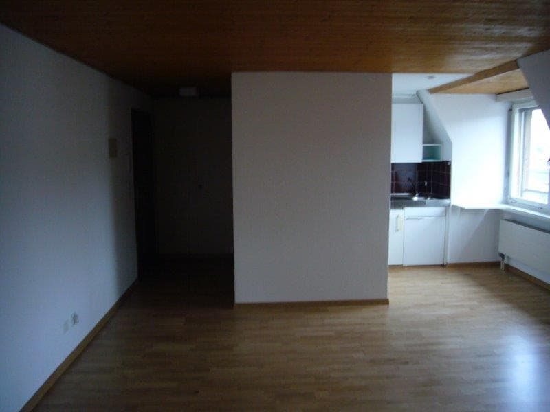 Zentrumsnahe 1-Zimmerwohnung in St. Gallen (5)