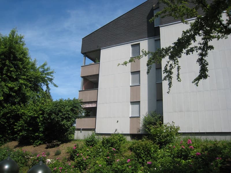 3.5-room apartment in a preferred, quiet residential area (2)