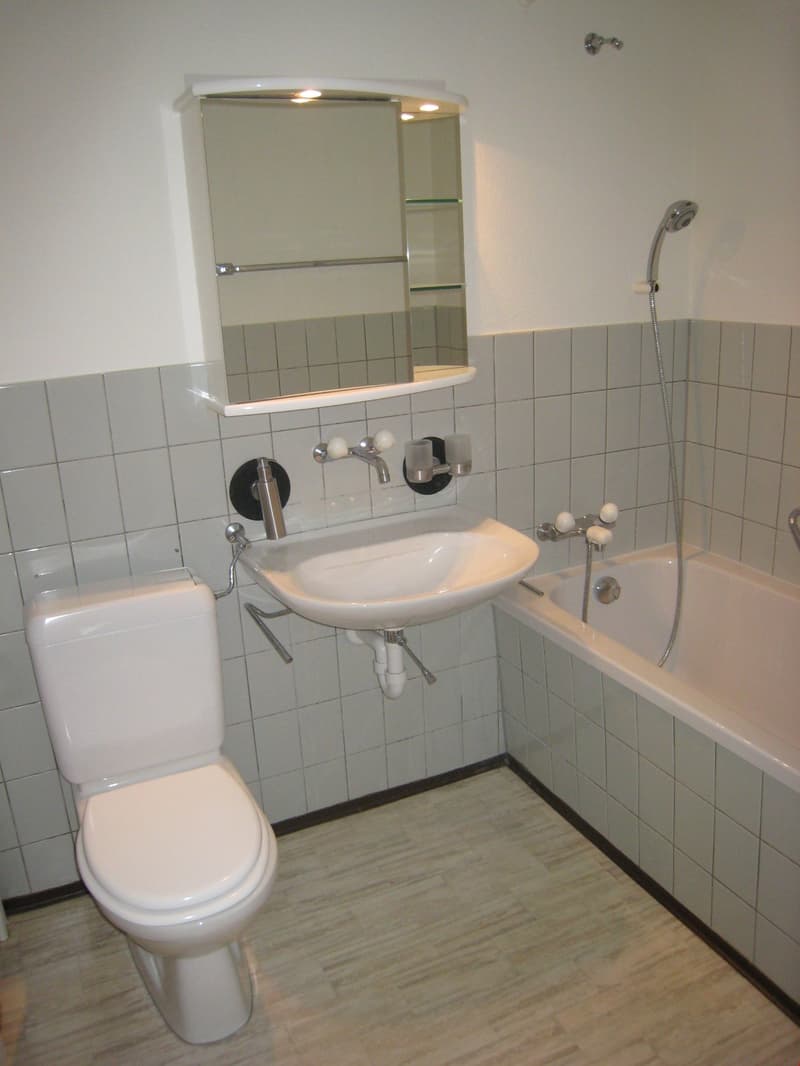 3.5-room apartment in a preferred, quiet residential area (11)