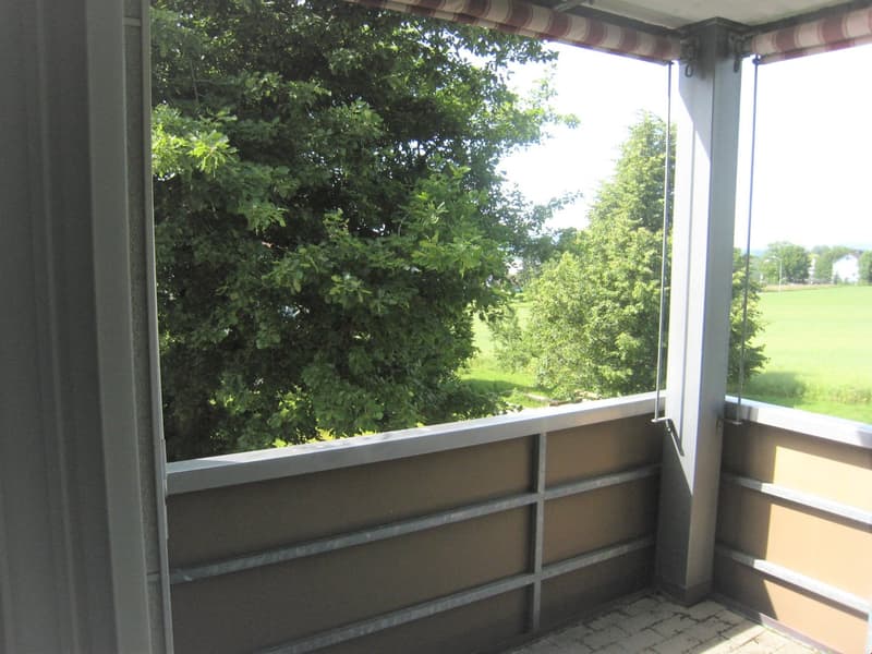 3.5-room apartment in a preferred, quiet residential area (13)