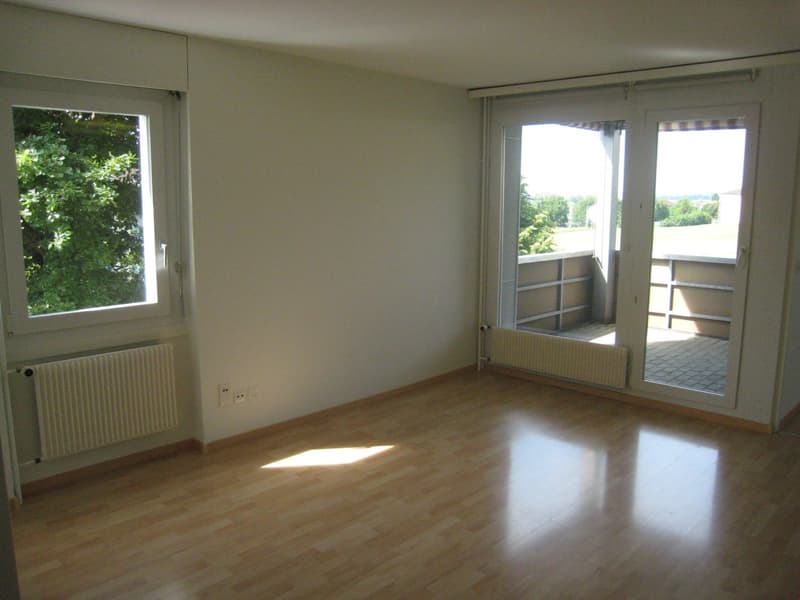 3.5-room apartment in a preferred, quiet residential area (5)