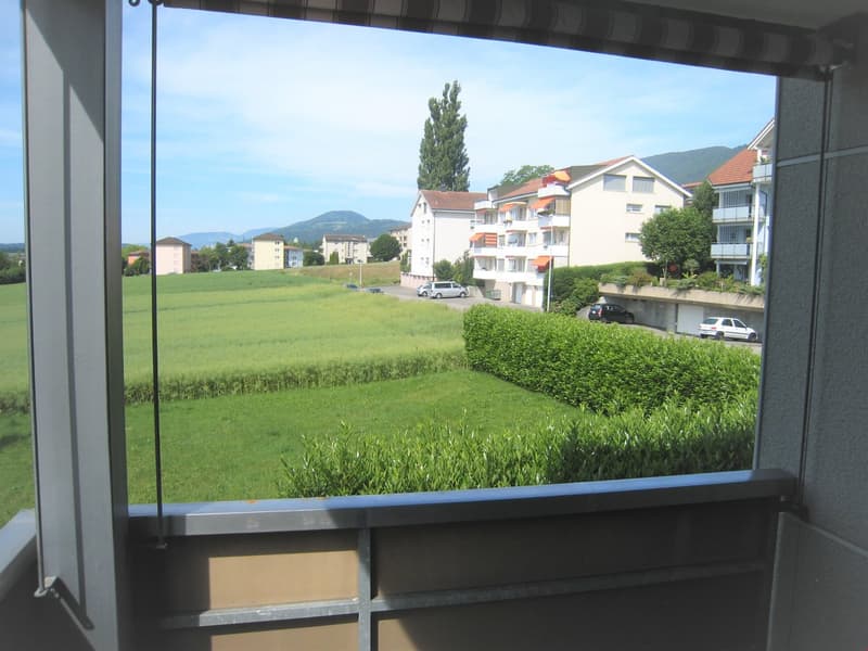 3.5-room apartment in a preferred, quiet residential area (12)