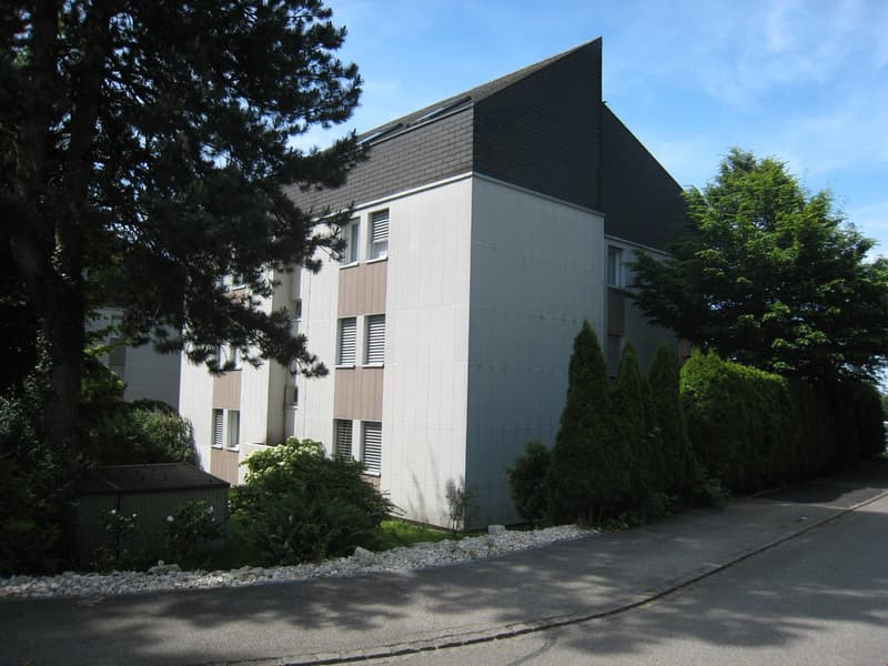 3.5-room apartment in a preferred, quiet residential area (3)