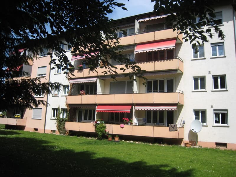Appartamento di 2 camere in posizione centrale (2)