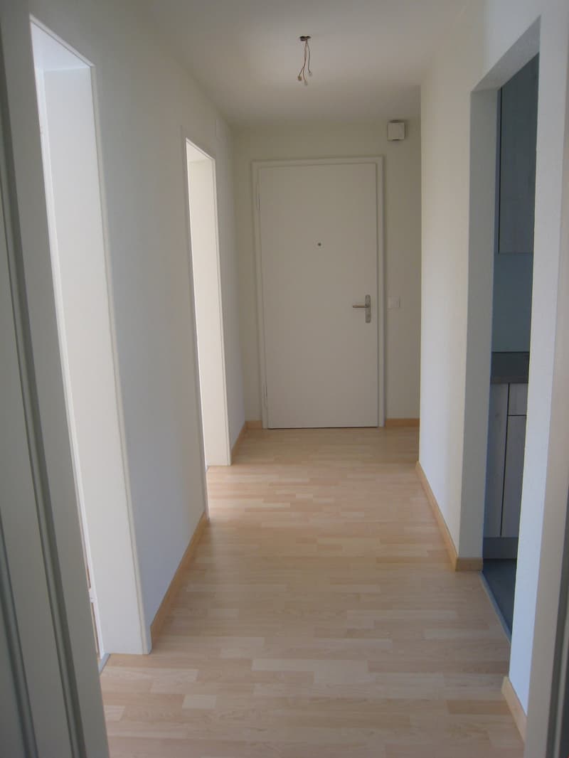 Appartamento di 3 camere quieto e centrale (7)