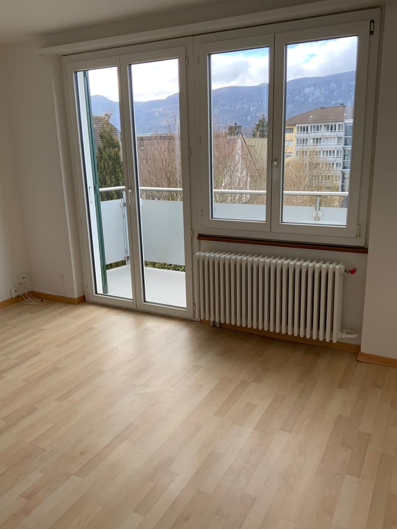 Appartamento di 3 camere quieto e centrale (8)