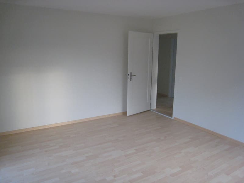 Appartamento di 3 camere quieto e centrale (12)