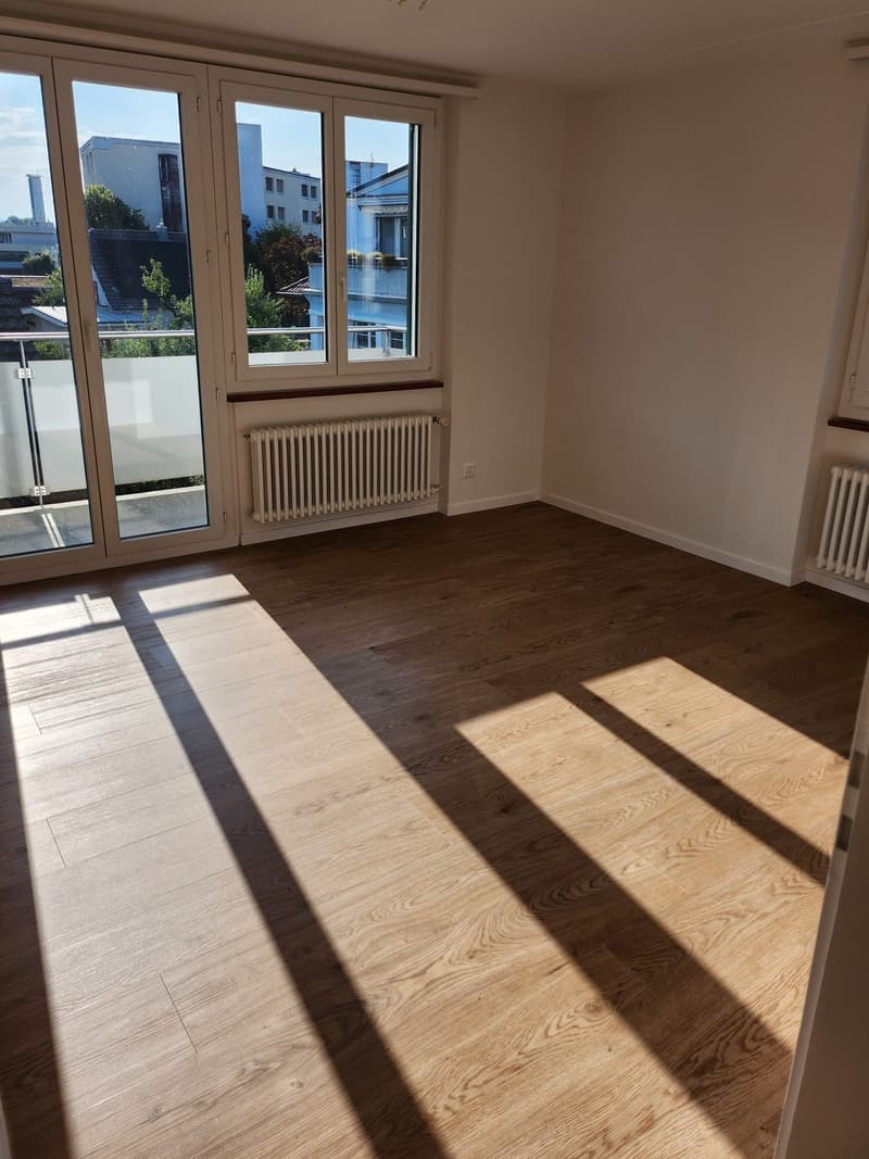 Appartamento di 3 camere quieto e centrale (10)