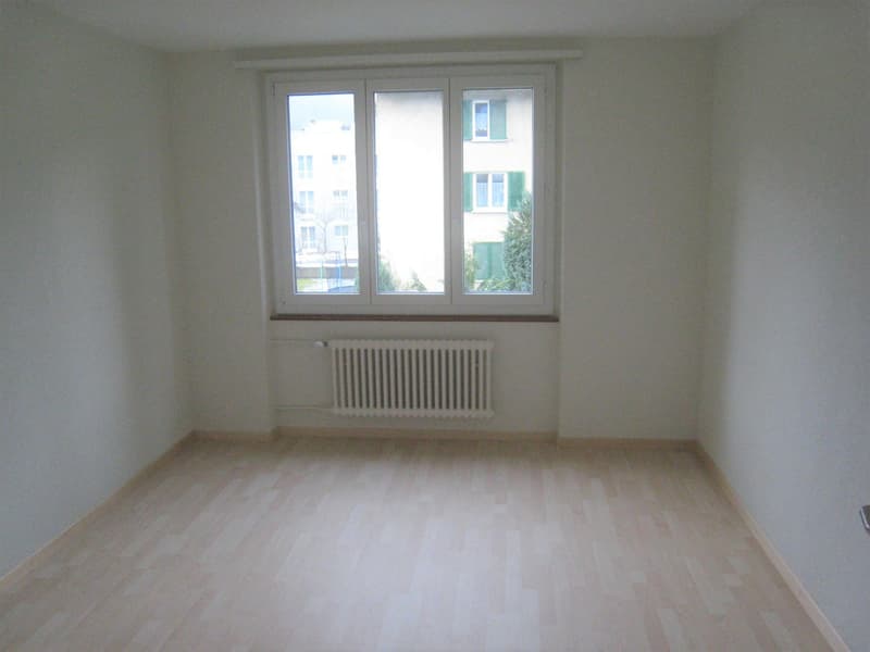 Appartamento di 3 camere quieto e centrale (13)