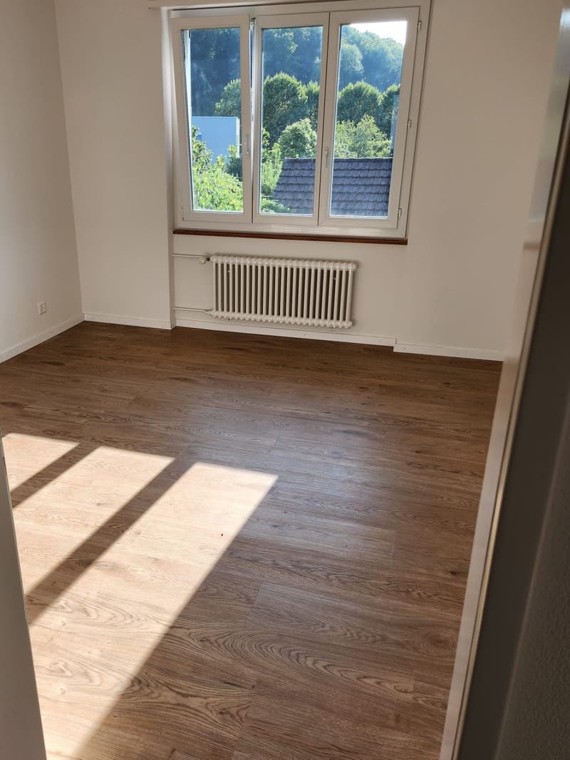 Appartamento di 3 camere quieto e centrale (11)