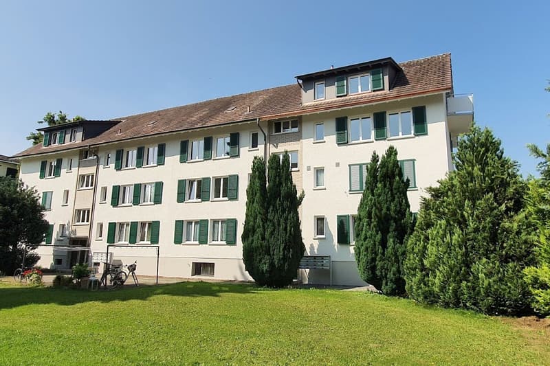 Appartamento di 3 camere quieto e centrale (1)