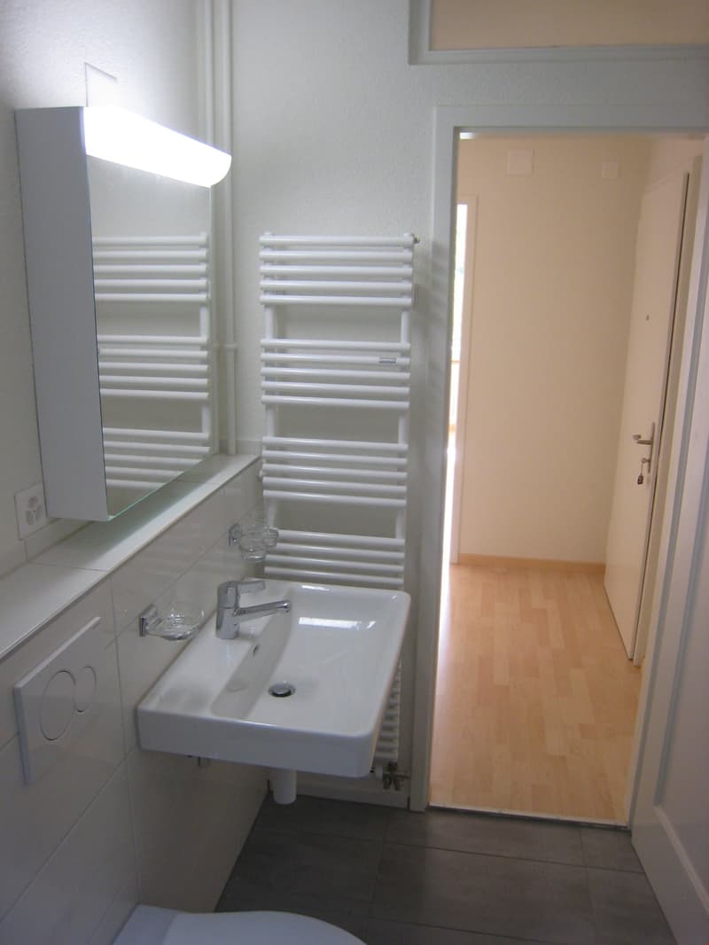 Appartamento di 3 camere quieto e centrale (6)