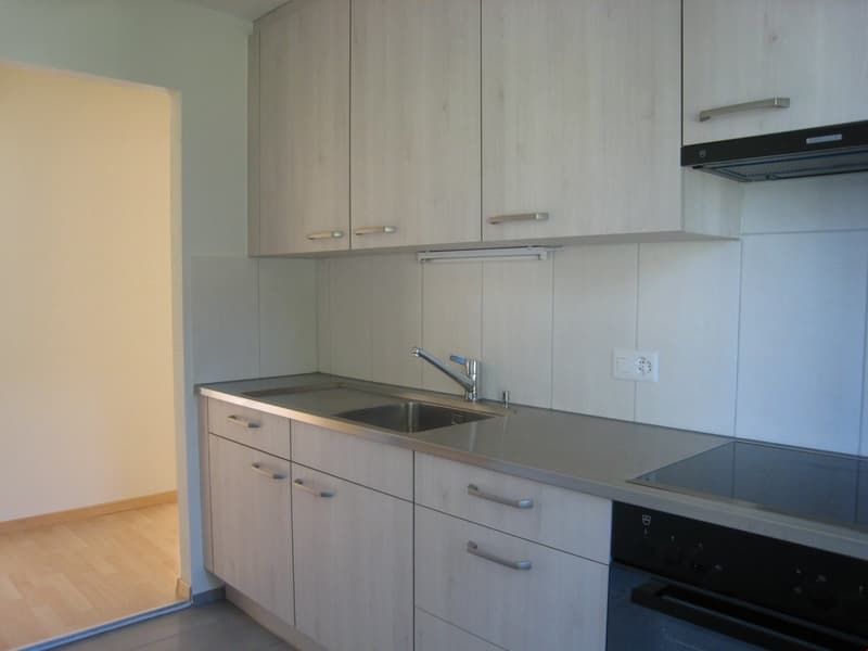 Appartamento di 3 camere quieto e centrale (3)