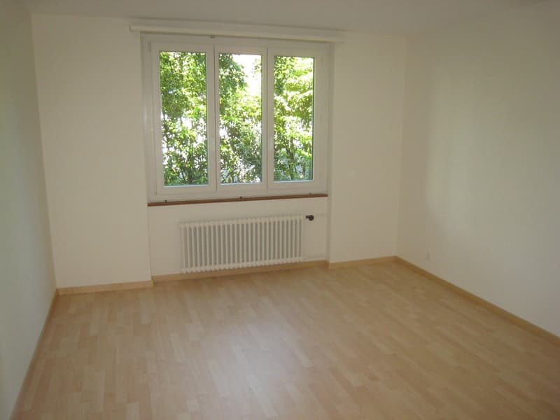 Appartamento di 3 camere quieto e centrale (9)