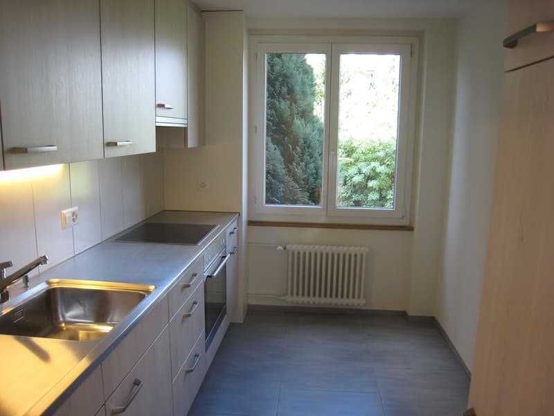 Appartamento di 3 camere quieto e centrale (4)