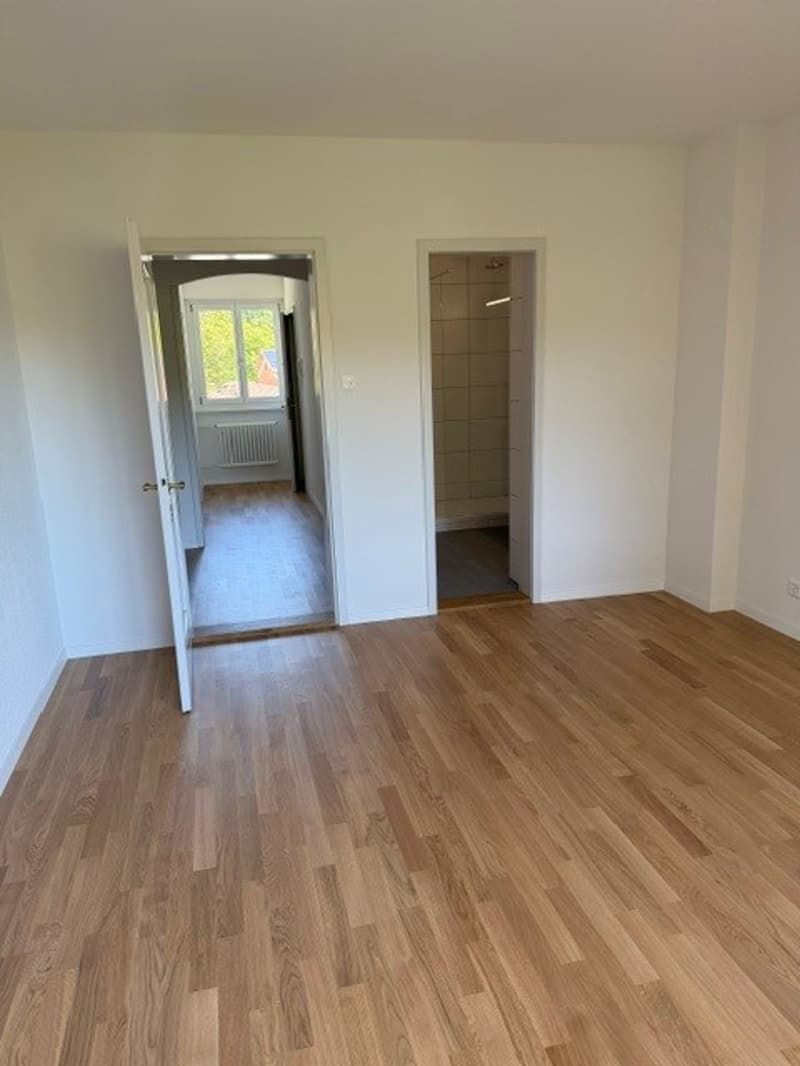 Appartamento di 4,5 locali ristrutturato a Elfenau (11)