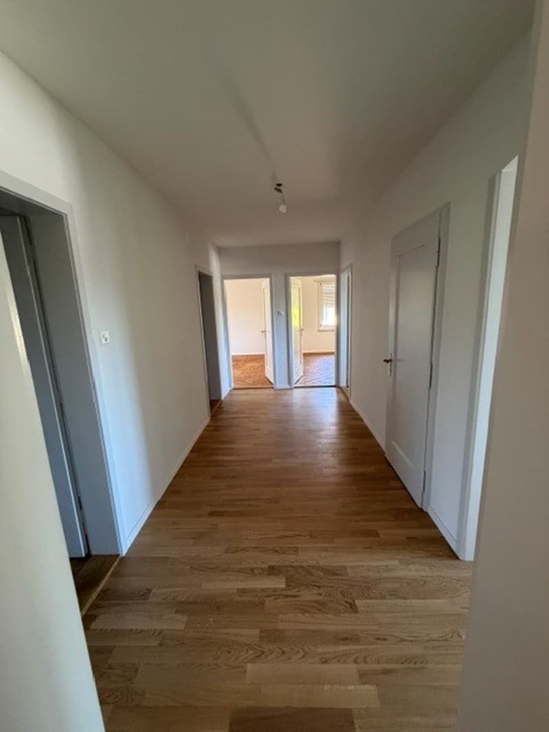 Appartamento di 4,5 locali ristrutturato a Elfenau (3)