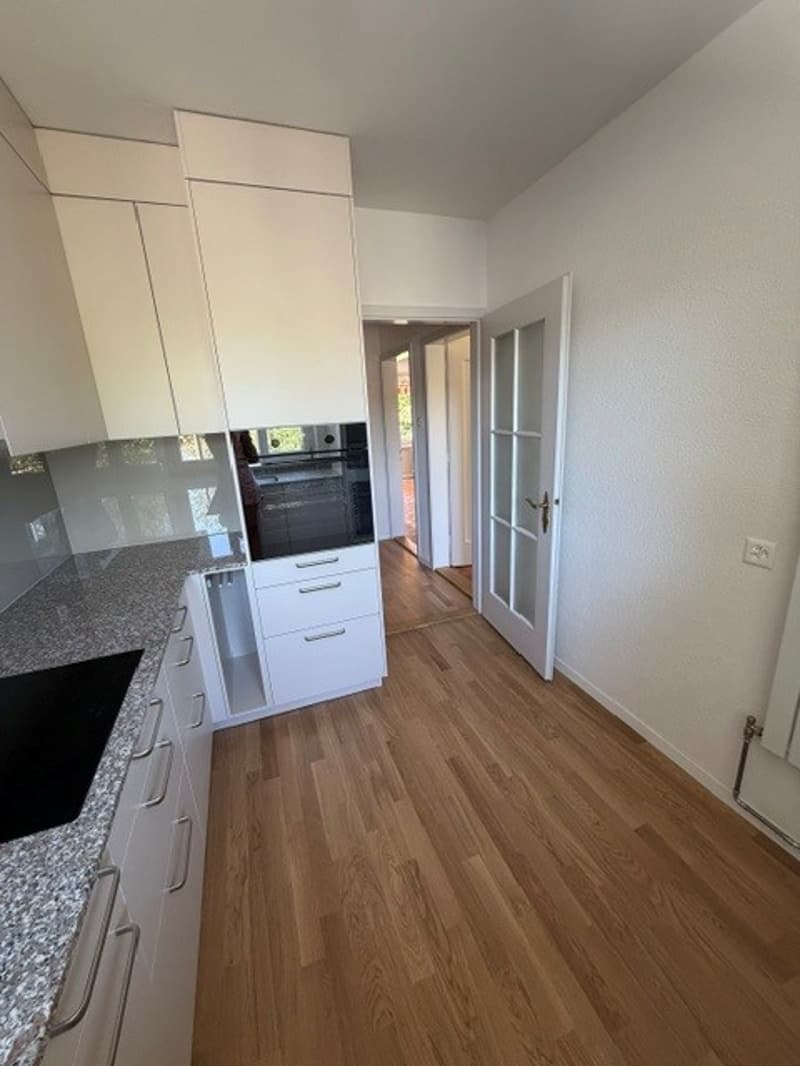 Appartamento di 4,5 locali ristrutturato a Elfenau (1)