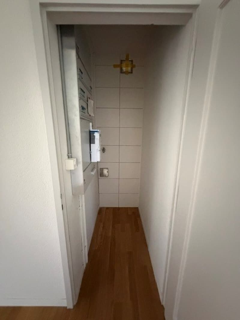 Appartamento di 4,5 locali ristrutturato a Elfenau (5)